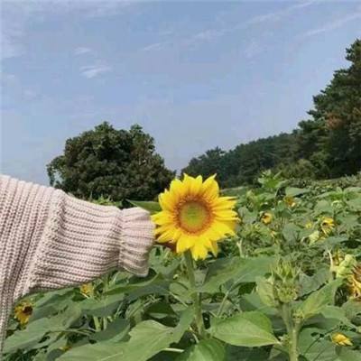 美联储古尔斯比：消费者信心可能下滑。